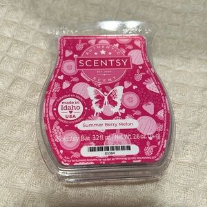 Summer Berry Melon Scentsy Bar
